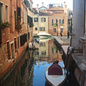 IMG_20251206_131441.jpg IMG_20251206_131441.jpg