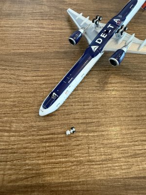 IMG_2515.jpeg IMG_2515.jpeg