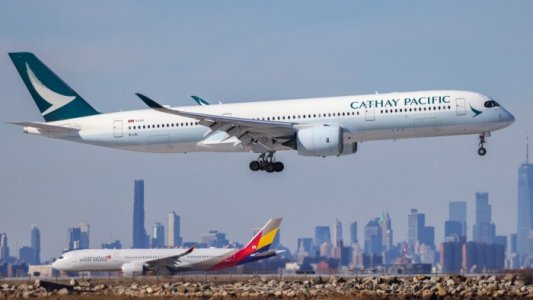 IMG_5908.jpeg IMG_5908.jpeg