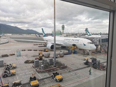 IMG_20250817_071027.jpg IMG_20250817_071027.jpg