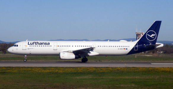 DSCN0336.JPG DSCN0336.JPG