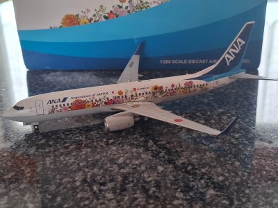 #417 ANA B737-800 JA05AN JFox.jpg