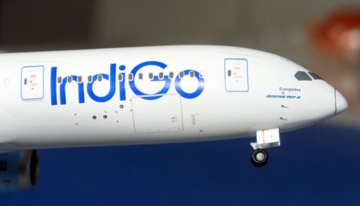 DSCN1117.JPG DSCN1117.JPG