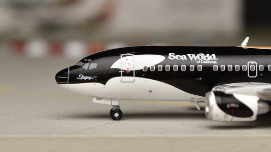 DSC_0007.jpeg DSC_0007.jpeg