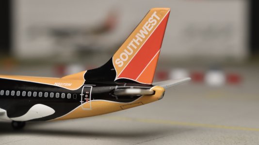 DSC_0011.jpeg DSC_0011.jpeg