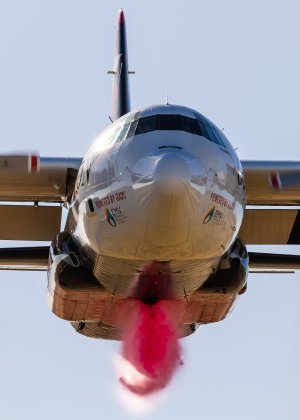 Coulson 2 (1 of 1).jpg