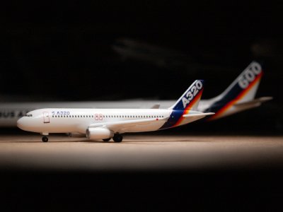 320.jpg