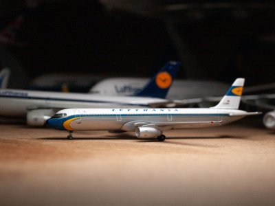 LH321.jpeg