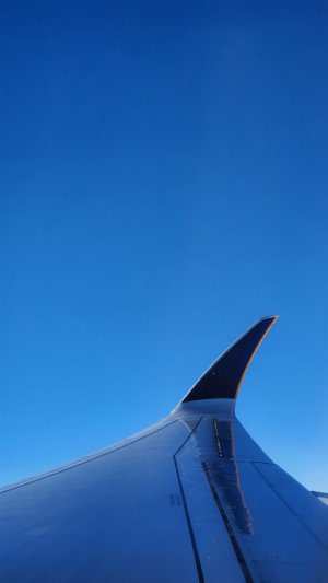20230218_171220.jpg