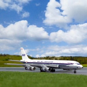 SAS DC-8 Vikings_4.JPG