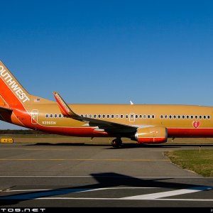 Southwest 737-3H4 1971 N396SW .jpg