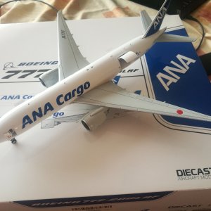 Ana771F.jpg