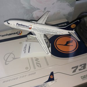 Lufthansa B737-500 D-AEBK Fanhansa.jpg