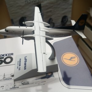 #382 Lufthansa Fokker 50 D-AFFH.jpg