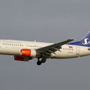 IMG_3016.jpeg