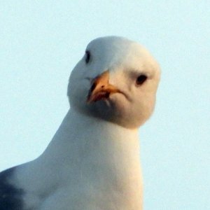 DSCN4755.JPG