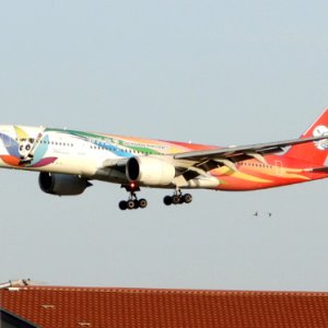 DSCN4787.JPG