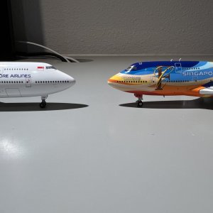 IMG_9964.jpeg