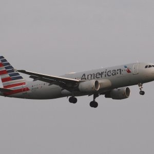 IMG_9346.jpeg