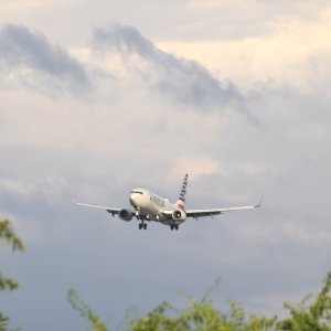 IMG_0308.jpeg