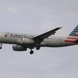 IMG_0395.jpeg