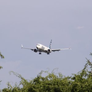 IMG_0056.jpeg