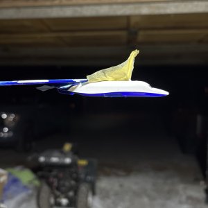 IMG_0171.jpeg
