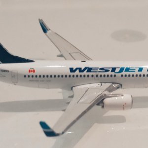 IMG_20250617_090218.jpg