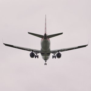 IMG_0749.jpeg