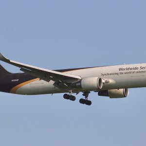 IMG_2511.jpeg