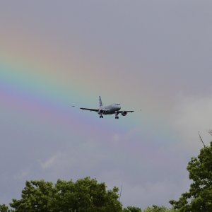 IMG_3111.jpeg