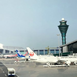 IMG_2543.JPG
