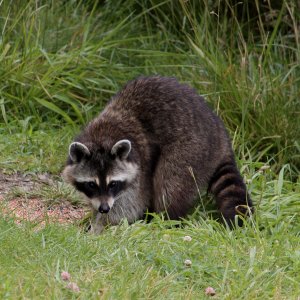 IMG_3416.jpeg