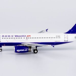 49035 (1).JPG