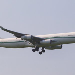 IMG_4705.jpeg