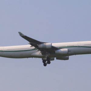 IMG_4713.jpeg