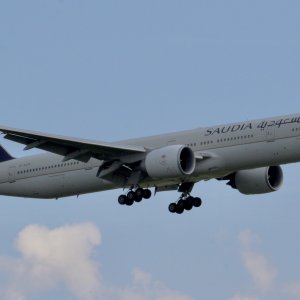 IMG_5847.jpeg