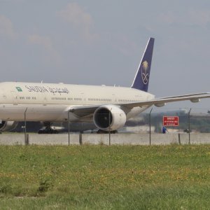 IMG_5868.jpeg