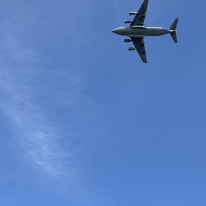 IMG_2954.jpeg