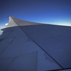 IMG_9510.jpeg