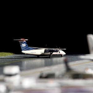 IMG_7173.jpeg