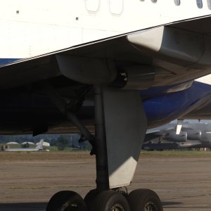 IMG_7391.jpeg