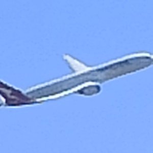 IMG_20250808_115503.jpg