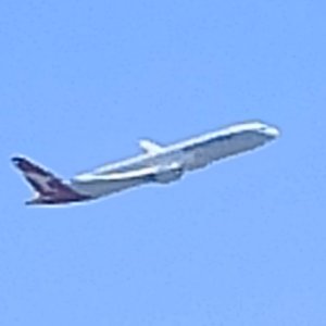 IMG_20250808_115422.jpg