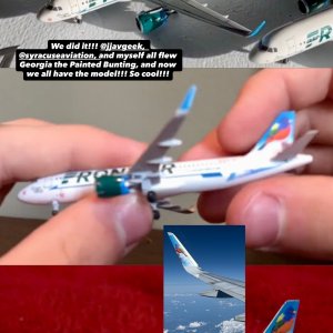 B4D3A473-AA64-4080-B756-2D7D1D88321F.jpeg