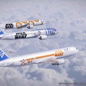 SW-01-2.jpg