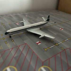 IMG_1212.jpeg
