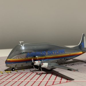 IMG_6820.jpeg