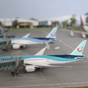 img_4939_54262012629_l.jpg