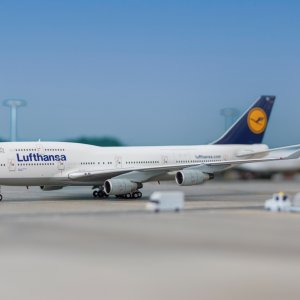 1000081894.jpg